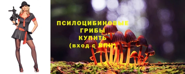 СК Абинск