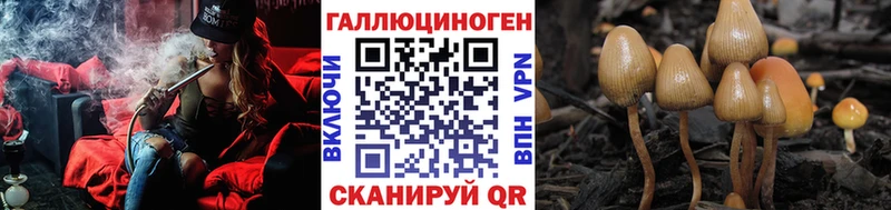Псилоцибиновые грибы мухоморы  Александровск-Сахалинский 